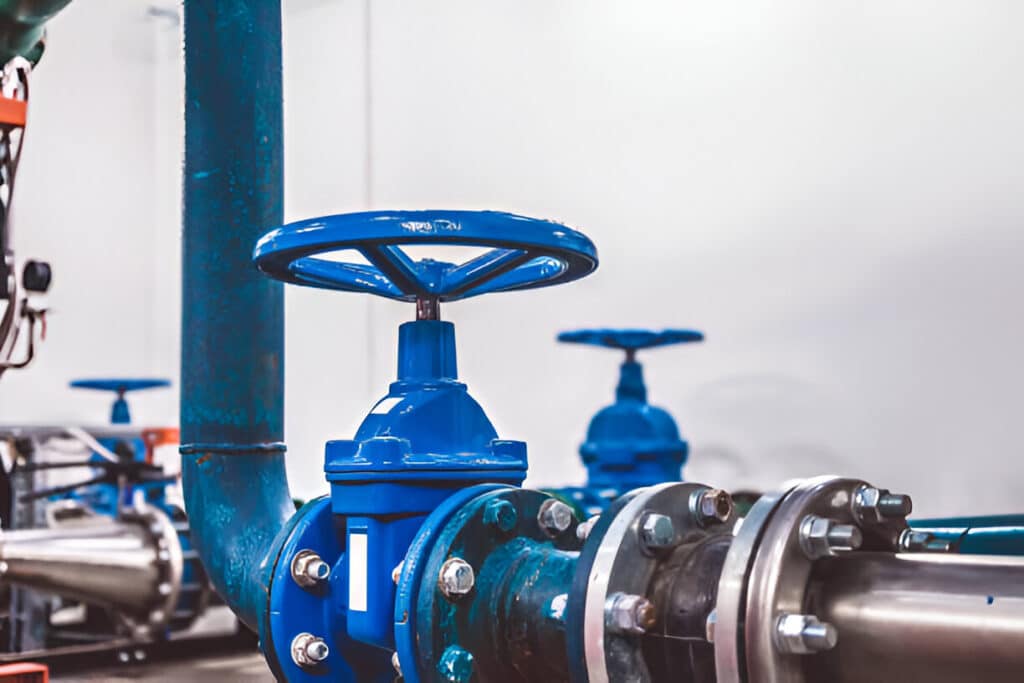 Globe Valve