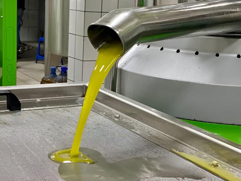 What are Newtonian and Non-Newtonian Fluids 2 oil