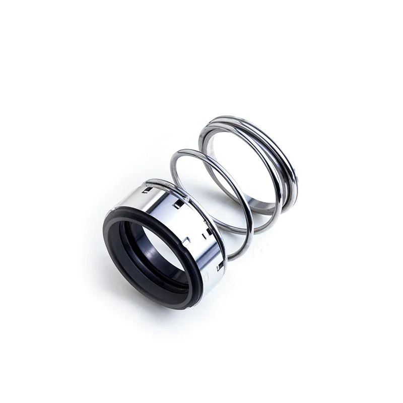 Type 1 Mechanical Seal